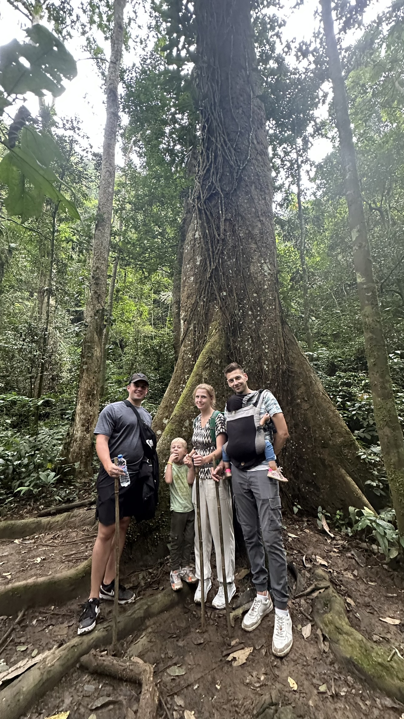 Standing by the ancient gargantuan trees of Cuc Phuong